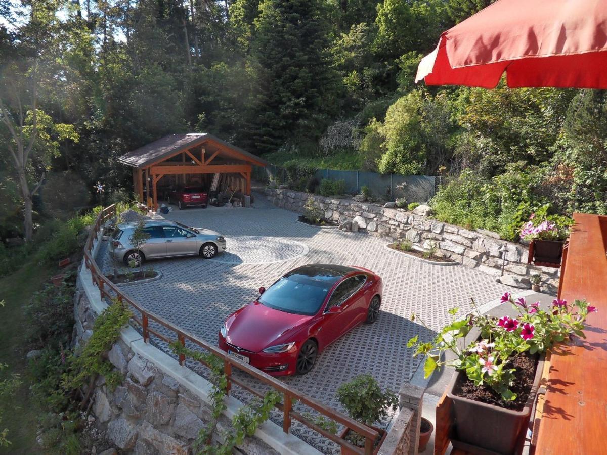 Fewo In Der Weinleiten Millstatt Eksteriør billede